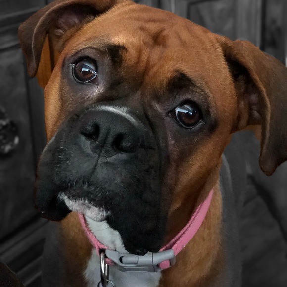 Meet your Posher, Timeless - Picture 2 of 8